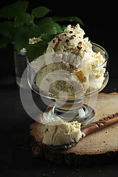 Ice cream scoops in an ice cream bowl