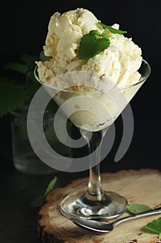 Ice cream scoops in an ice cream bowl