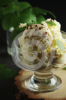 Ice cream scoops in an ice cream bowl