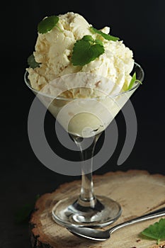 Ice cream scoops in an ice cream bowl