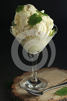 Ice cream scoops in an ice cream bowl