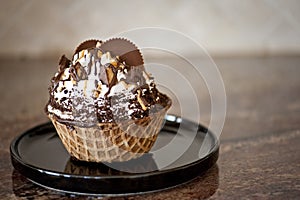 Ice Cream swirled in Waffle Bowl