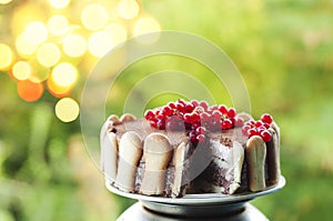 Ice cream tiramisu cake with cranberries