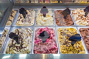 Ice Cream Trays