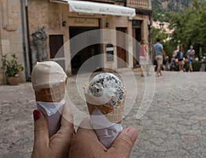 ice cream on a hornet.