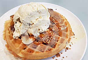 Ice Cream on Waffle