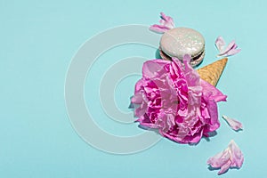 Ice cream waffle cones with peony and macarons on blue background. Sweet dessert, flower petals