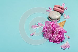 Ice cream waffle cones with peony and macarons on blue background. Sweet dessert, flower petals