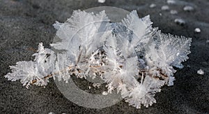 Ice crystal