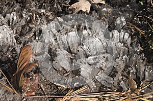 Ice Crystal Threads