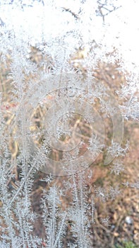 Ice crystalls on a window
