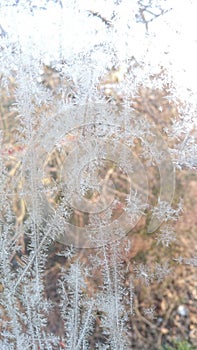 Ice crystalls on a window photo