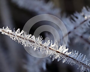 Ice crystals