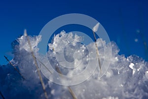 Ice crystals and blue sky