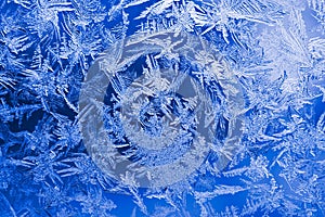 Ice crystals close up on a window pane in winter. Dark blue and white background or wallpaper. Mystical fabulous abstract lase.