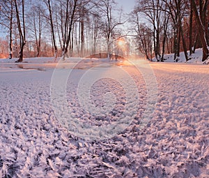 Ice crystals closeup