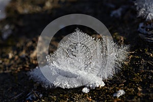 Ice crystals closeup