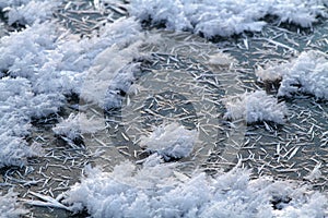Ice crystals cover the frozen surface of the water