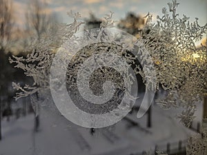 Ice crystals pattern on window glass closeup view