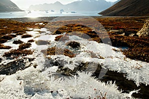 Ice Crystals - Scoresby Sound - Greenland photo