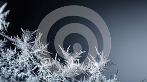 Ice crystals sparkle beautifully under soft light during winter