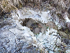 Ice crystals surround the spring