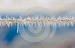 Ice crystals on a wire