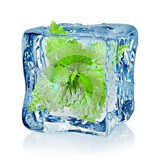 Ice cube and mint