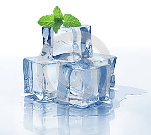 Ice cube and mint