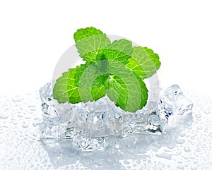 Ice cube and mint