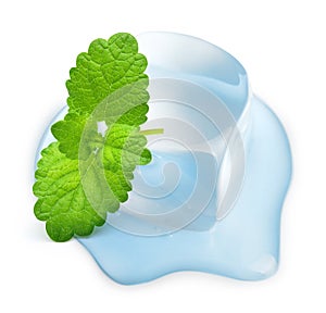 Ice cube with mint leaf