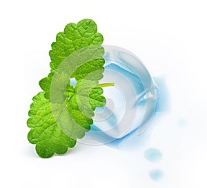 Ice cube with mint leaf