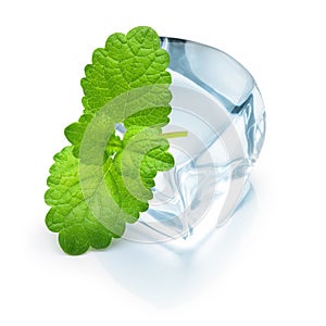 Ice cube with mint leaf