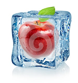 Ice cube and red apple