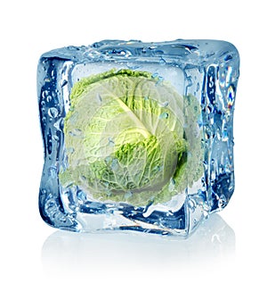 Ice cube and savoy cabbage photo