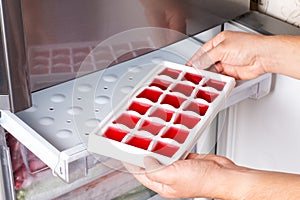 Ice cube tray with frozen wine in the freezer. Frozen wine photo