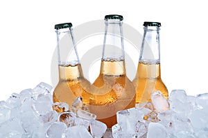 Ice cubes and bottles of beer on background
