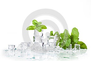 Ice cubes and mint leaves