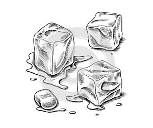 Ice cubes. Vector illustration