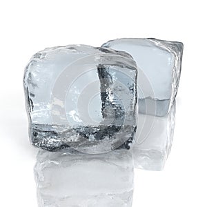 Ice cubs