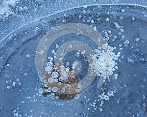 Ice detail, bubbles and leaf frozen in Alava