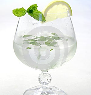 Ice drink with lemon and mint