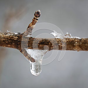 Ice drop