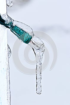 Ice Encased Xmas Light