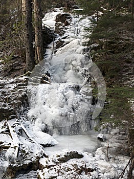 Ice fall in the forest