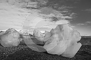 ice fields at the black pebble beach, coast of iceland