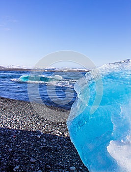 ice fields at the black pebble beach, coast of iceland