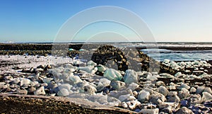 ice fields at the black pebble beach, coast of iceland