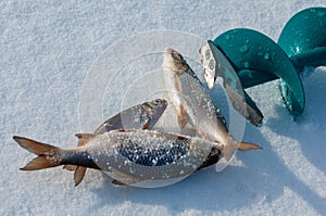 ice fishing