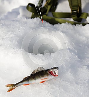 Ice fishing